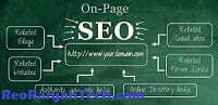 On Page SEO क्या है On Page SEO kaise kare ?