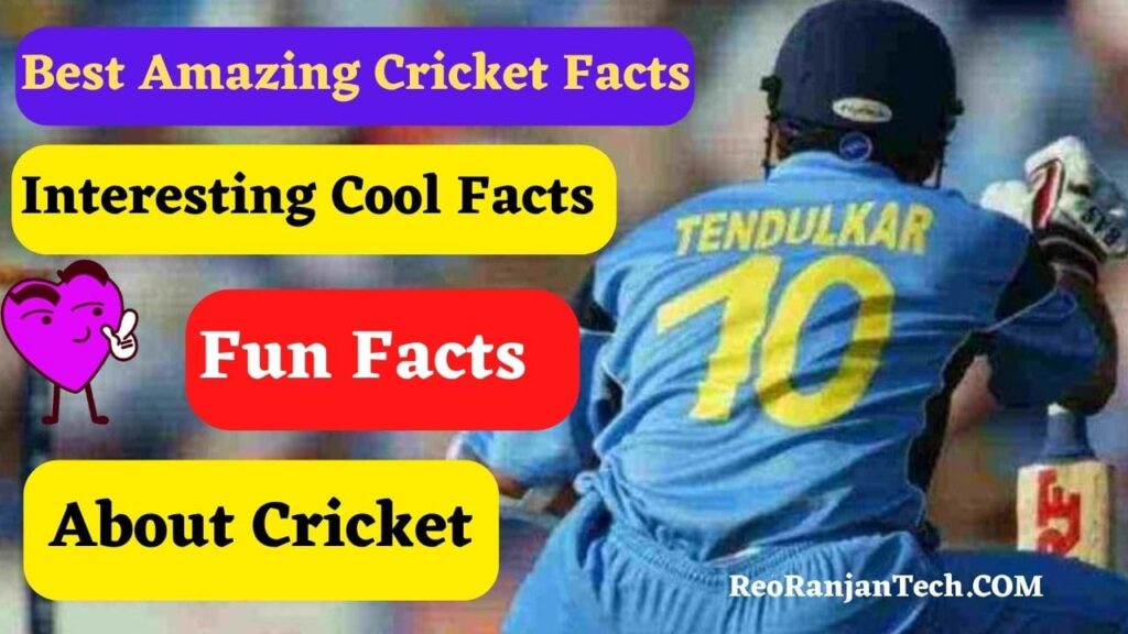 Cool Facts About Cricket