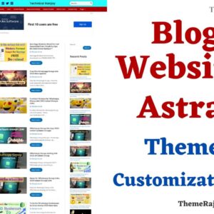 Astra Theme Customization Service