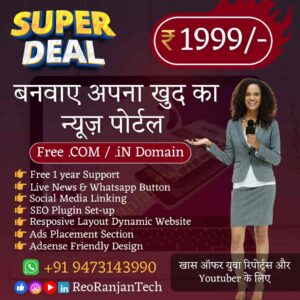 News Portal Website Development