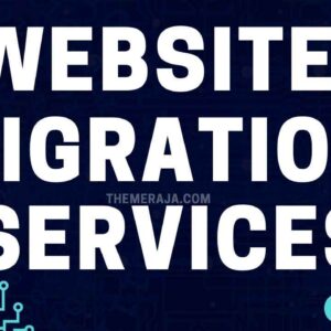 Website Migration Services